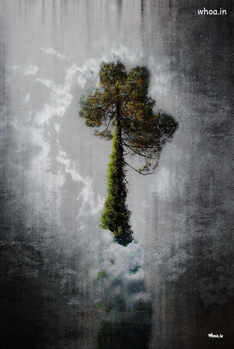Fine Art Image Like A Tree In A Sky