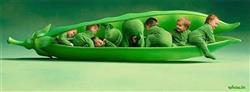 green color babies facebook cover