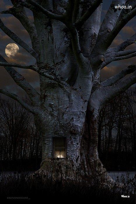 Halloween Dark Night Tree