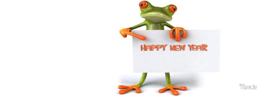 Happy New Year Frog Fb Cover