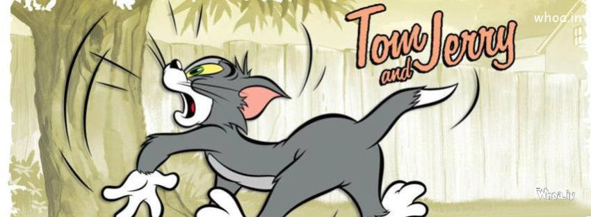 Tom And Jerry Cat And Mouse Fb Cover#10