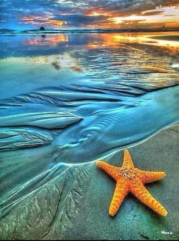 Yellow Starfish On A Beach