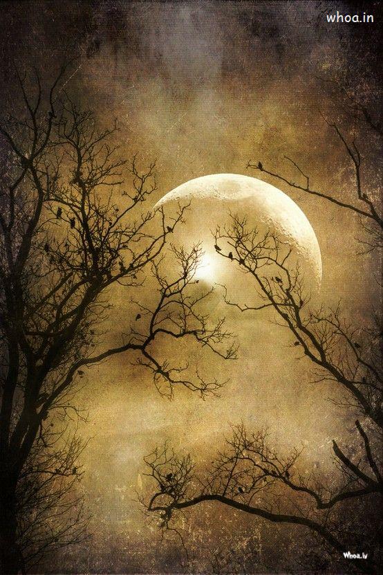 Natural Moon Hand Painting With Tree And Birds