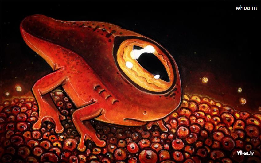 Single Eye Red Frog Hand Painting