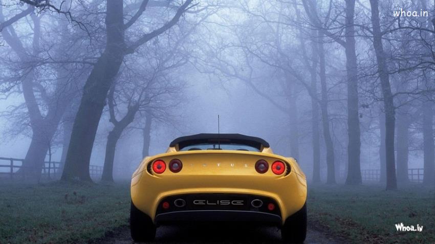 Yellow Car Natural Morning Wallpaper
