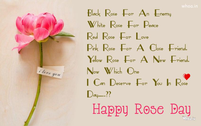 Happy Rose Day Greeting Pink Rose Hd Wallpaper