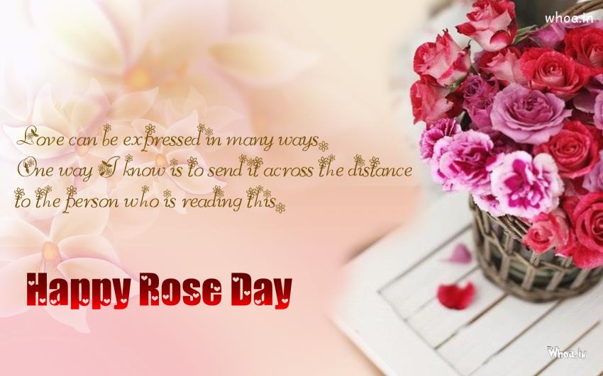Rose Day Quote Any 1 Can Love A Rose Greetings Hd Wallpaper