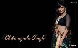 Chitrangada Singh in saree hd