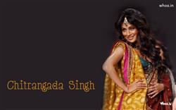 Chitrangada Singh looking beautiful in multicolored saree