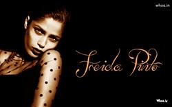 Freida Pinto in Black Transparent Dress