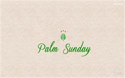 Palm Sunday Light Background Wallpaper