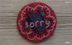 Sorry Written in Embroidery Work HD Wallpaper