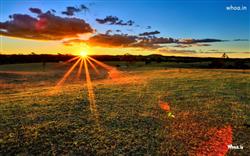 Sun Rays Natural Photoshoot HD Desktop Wallpaper