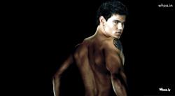 Taylor Lautner Body Shape Wallpaper