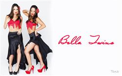 The Bella Twins Posing in Hot Outfits Wallpaper 