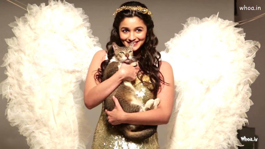 Alia Bhatt White Angel Dress With Cat HD Wallpaper