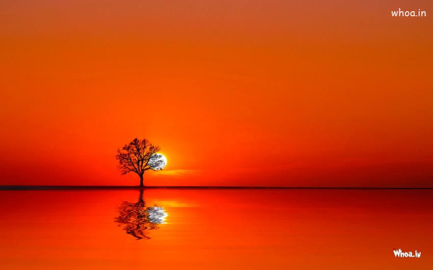 Beautiful Natural Sunrise With Orange Background HD Wallpaper