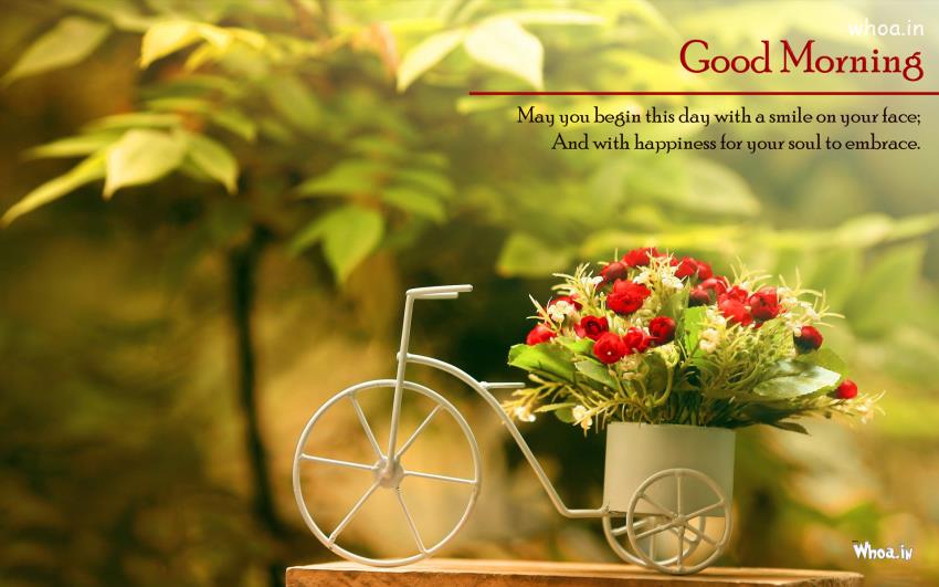 Good Morning With Small Small Bicycle Basket And Awaysome Thought