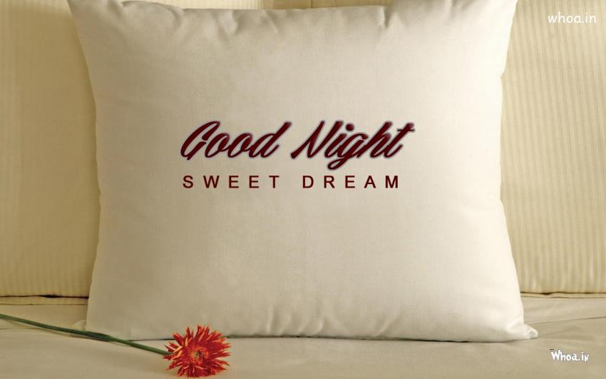 Good Night Sweet Dream
