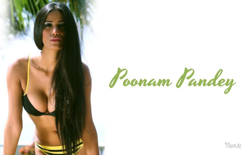 Hot Poonam Pandey In Bikini HD