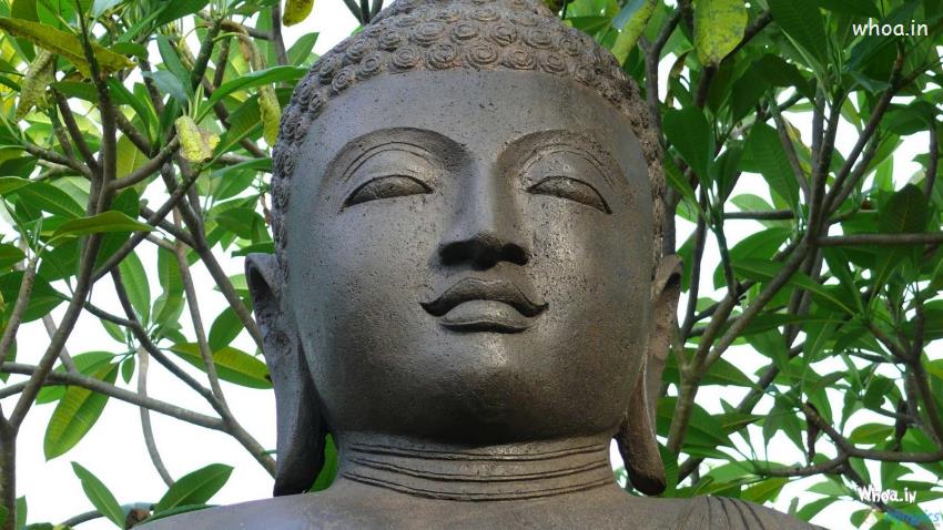Lord Buddha Face Closeup Statue Under The Tree Image