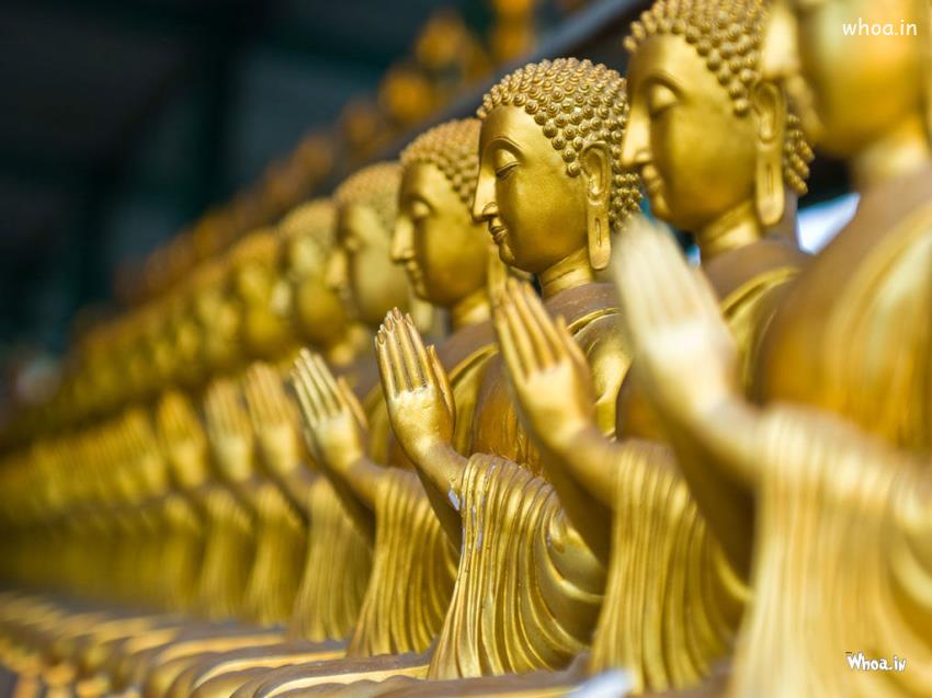 Multiple Golden Lord Buddha Samadhi Statue Wallpaper
