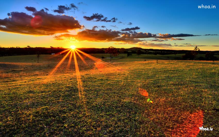 Sun Rays Natural Photoshoot HD Desktop Wallpaper