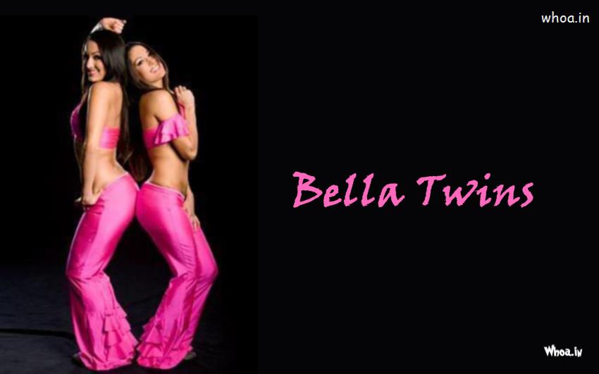 The Bella Twins In Pink Outfits Wallpaper