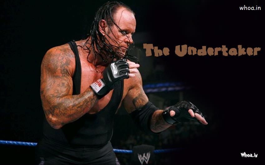 The Undertaker Fighting In Ring Wallpaper