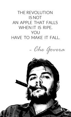 Che Guevara Quotes Like The Revolution is not an Apple HD Wallpaper