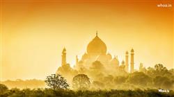 Golden Taj Mahal with Natural Background HD Wallpaper