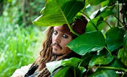 Johnny Depp as Jack Sparrow in Pirate of Caribbean Movies Wallpaper