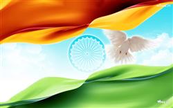 National Flag with Ashok Chakra HD Wallpaper