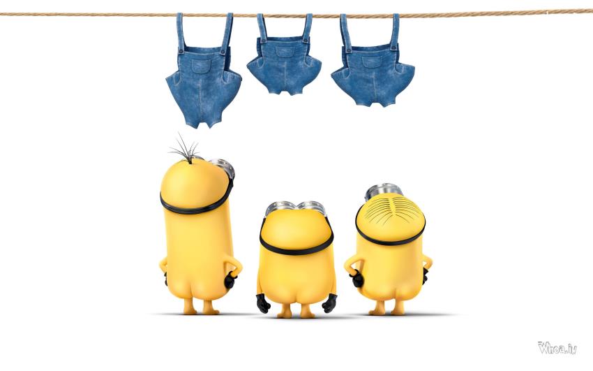 3 Minions Without Clothes Cartoon Fun HD Wallpaper