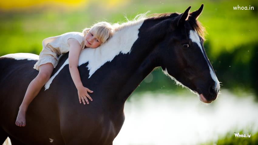 Baby Child Girl Sit On A Black And White Horse HD Cute Baby Wallpaper