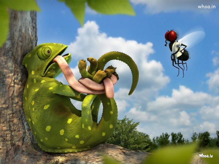 Bee Punishment Chameleon Cartoon Fun HD Wallpaper