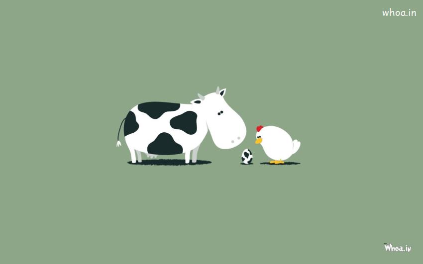 Black And White Cow And White Chicken Egg Full Funny Wallpaper