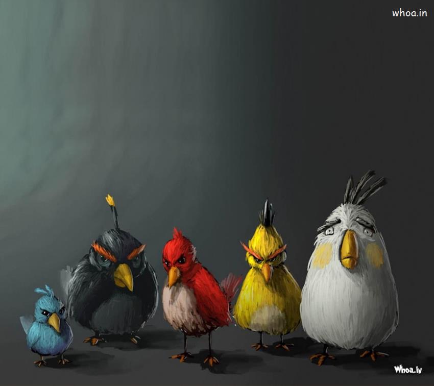 Funny Angry Bird Painting HD Wallpaper