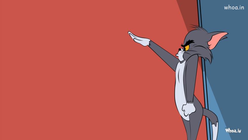Funny Angry Tom With Red Background HD Wallpaper