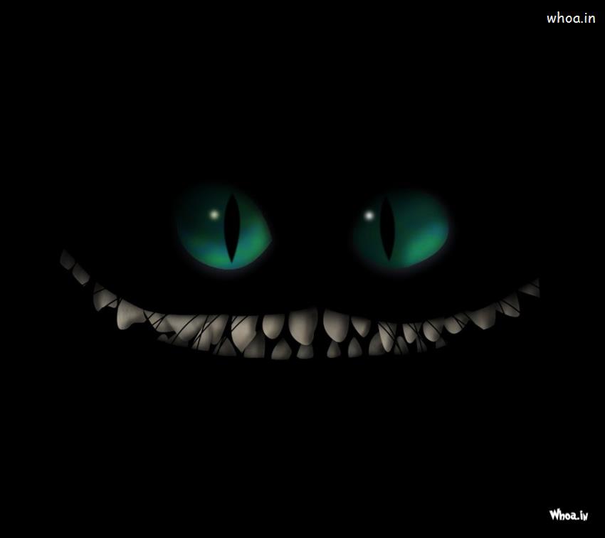How To Train Your Dragon Face With Dark Background HD Wallpaper
