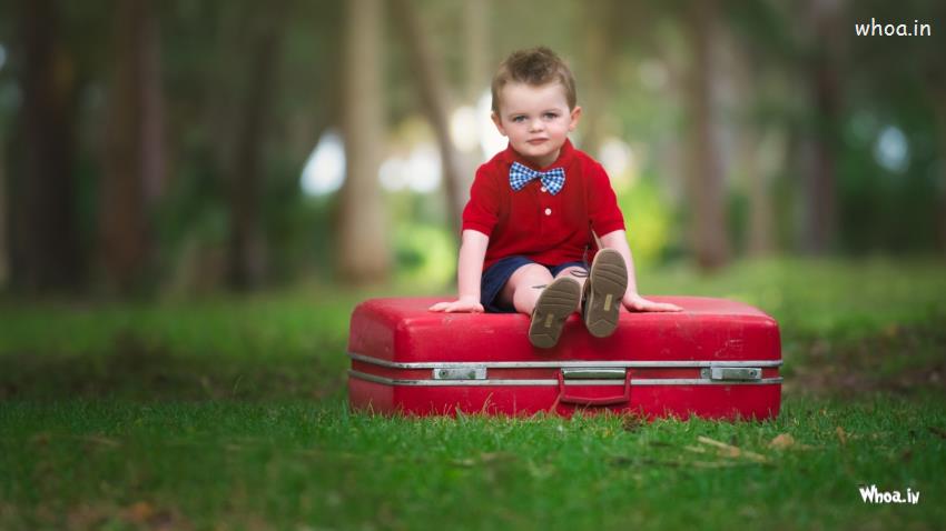 Little Boy Sit On The Red Bag HD Cute Wallpaper