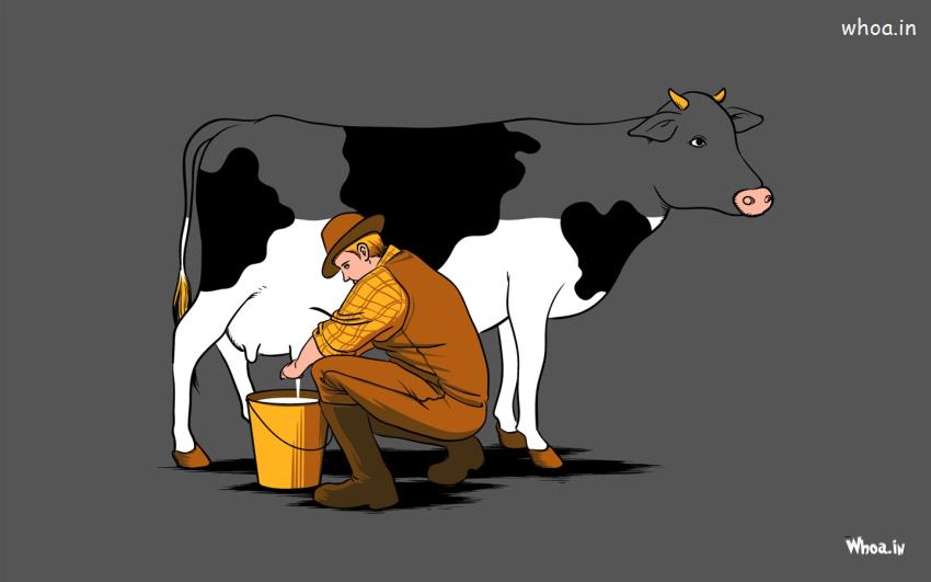Man Snatching Cow Milk HD Cartoon Fun Wallpaper