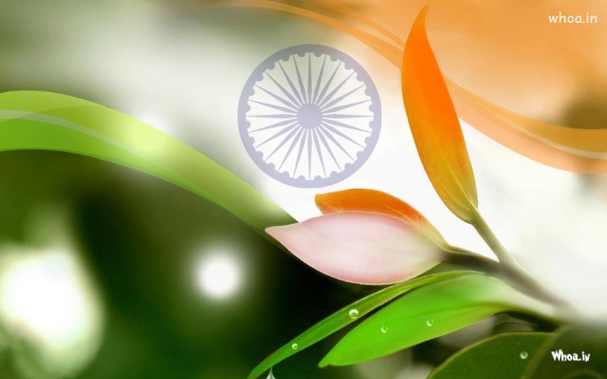 National Flag Happy Independence Day HD Wallpaper