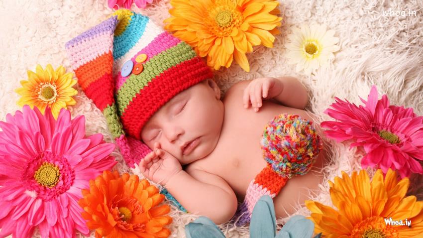 Newborn Cute Baby Sleeping With Gerbera Flower HD Baby Sleep Wallpaper