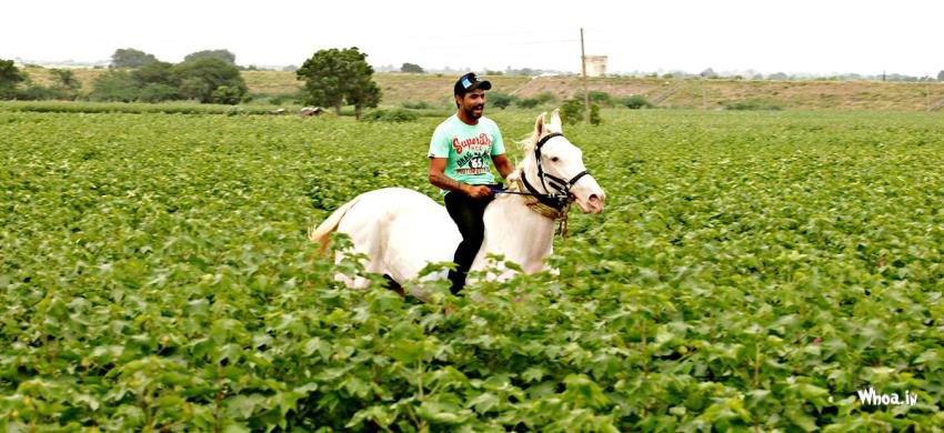 Ravindra Jadeja With Horse Ridding From His Personal Collection