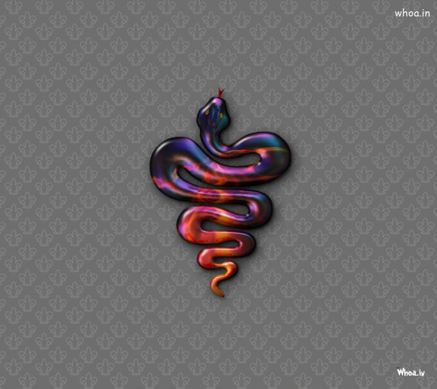 Snake Funny HD Wallpaper