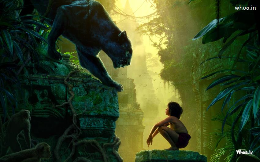 The Jungle Book Movies Letest HD Wallpaper