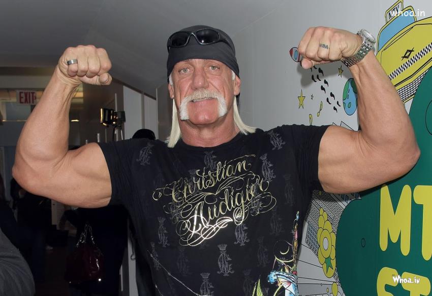 WWE Legend Hulk Hogan Body Shapes HD Wallpaper