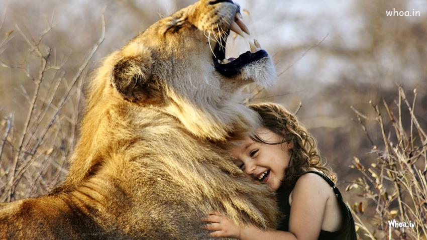 Cute Child Girl Playing With Lion Photoshoot HD Wallpaper And HD Images 