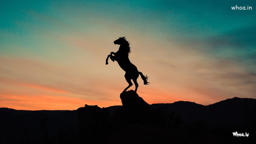 Flying Horse Shadow Image Hd Wallpaper & Image